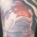 tattoos/ - different kinda take on koi - 48948